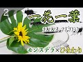 Monstera ＆ Sunflowers] Japanese Traditional Technique Can Arrange
