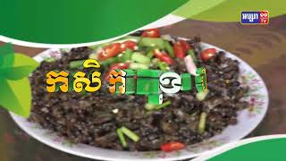 កសិករជំនាញចិញ្ចឹមមាន់ ពីសាលាកសិករក្តីសង្ឃឹម 09/01/2022