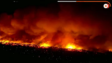 Massive forest fire in New Jersey