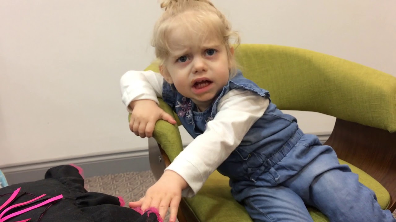 Waffle the wonder dog Cbeebies YouTube