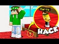 MINECRAFT NASCONDINO CON LE HACK