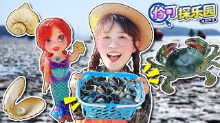 【伶可探樂園EP04】人魚公主派發新任務!夏天的趕海尋貝記 小伶玩具 | Xiaoling Toy 【伶可探樂園EP04】人魚公主派發新任務!夏天的趕海尋貝記 小伶玩具 | Xiaoling Toy