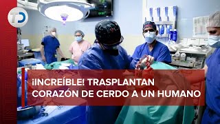 ¡Difícil de creer! Realizan el primer trasplante de corazón de un cerdo a un humano en EU