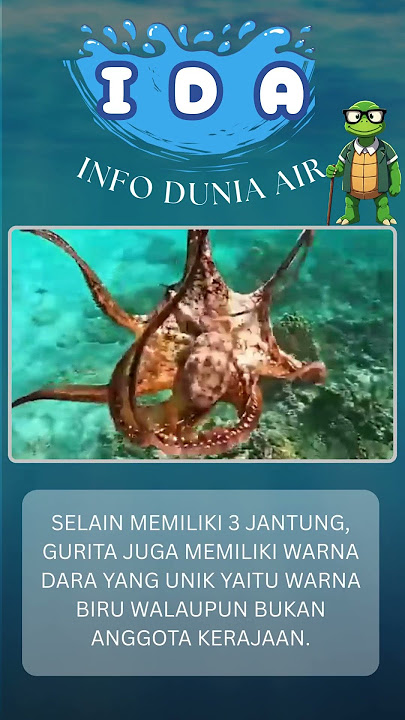 Fakta Unik Gurita