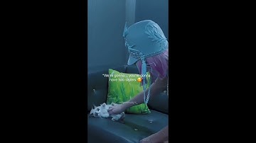 Taylor Swift with her Cats