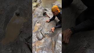 A Boy Lifted a Rock and Found Something Mind-Blowing ! 😳 #shorts