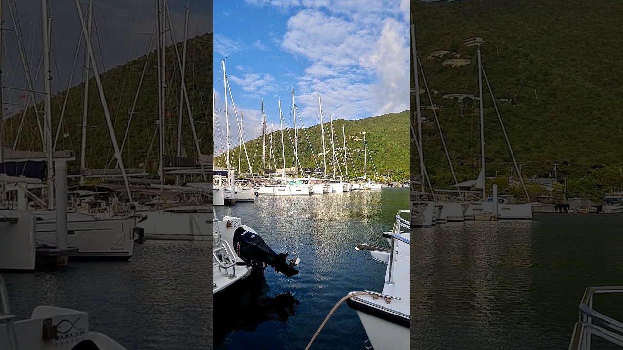 Coolest Marina in BVI? 
