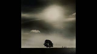 Agnes Obel - It's Happening Again
