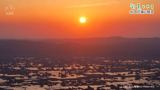 【旬景とやま】水田の海に映る