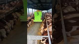 Smart Feed Wagon Delivers Hay Fast for Hungry Cattle! #Farming #CattleFeed #AgriTech