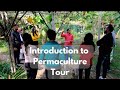 Introduction to permaculture tour at aanandaa