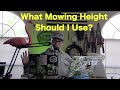 How Low Can I Mow Tall Fescue? | Best Mowing Height