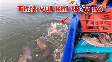 Cá Ngát xuất hiện nhiều báo hiệu mùa câu sắp bắt đầu | GĐCG #912