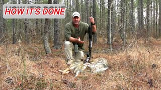 HOW IT'S DONE! SHOTGUNNING COYOTES IN THE WOODS WITH APEX TSS! S12E3