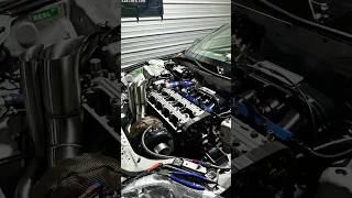 #k24turbo #fueltech #honda ##lsvtec#ktuned#junk2#skunk2#haltech##civic#kswap#eg#DragCartel#Hasport
