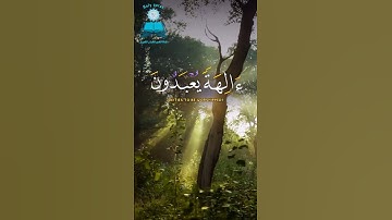 ﴿ فَاسْتَمْسِكْ بِالَّذِي أُوحِيَ إِلَيْكَ ۖ إِنَّكَ عَلَىٰ صِرَاطٍ مُّسْتَقِيمٍ  القارئ محمد الفقيه