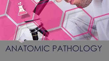 Lifepoint Informatics   Who we serve