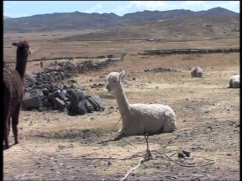 BBC Fast Track: Beyond Machu Picchu, Peru