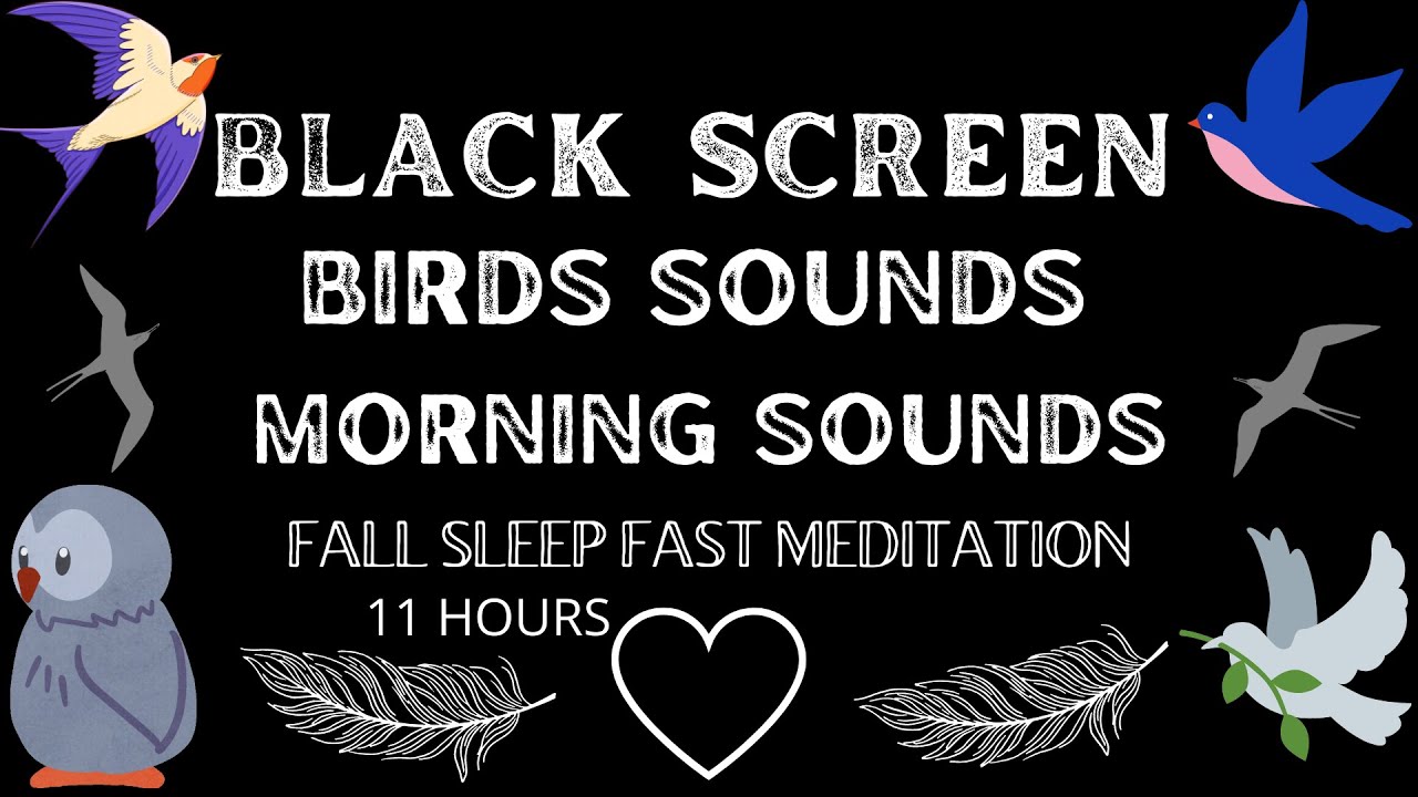 fall sleep in a minute nature sounds birds light rain animals ,insomnia stress sleep aid meditation