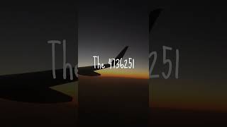 Mild High Club  Homage  fyou shorts s aesthetic 