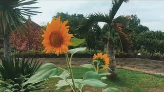 Terlalu Sulit Untuk Dilupakan