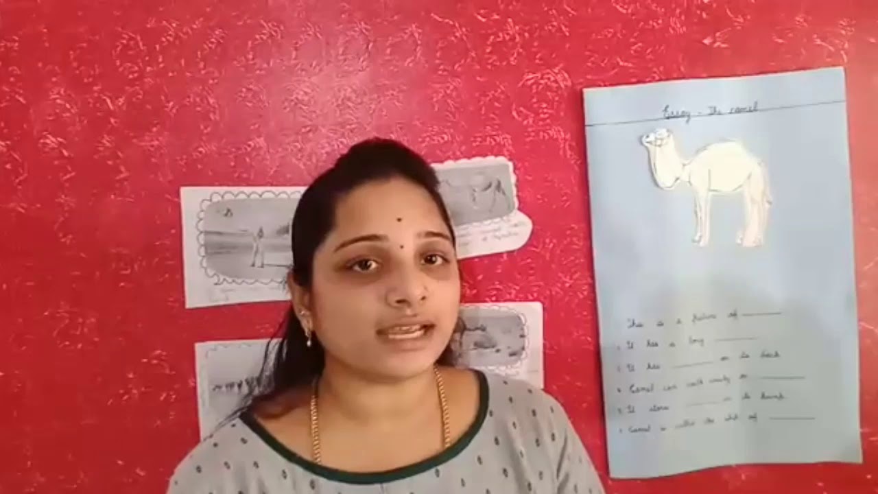 Class Sr. KG. Subject – English Topic - Essay-The Camel Teacher- Revathimam