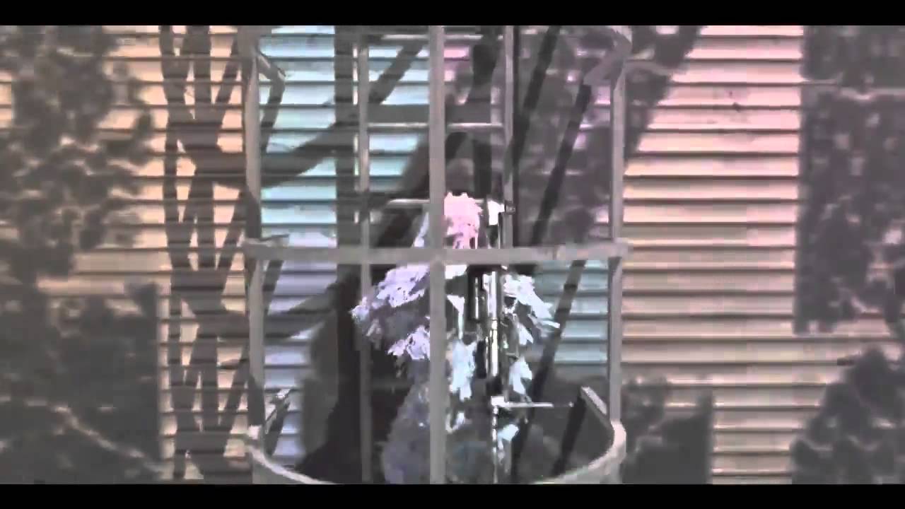 DreazeEdits's Rihanna!