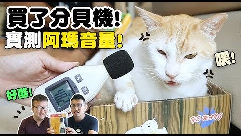 【黃阿瑪的後宮生活】買了分貝機！實測阿瑪音量！