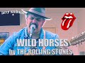 Larry Sandman - "Wild Horses" Acoustic Cover