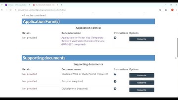 “How to Apply for a TRV from Inside Canada (Step-by-Step Guide 2025)”