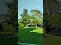 Chairman’s Reception at Augusta National Golf Club through their eyes.