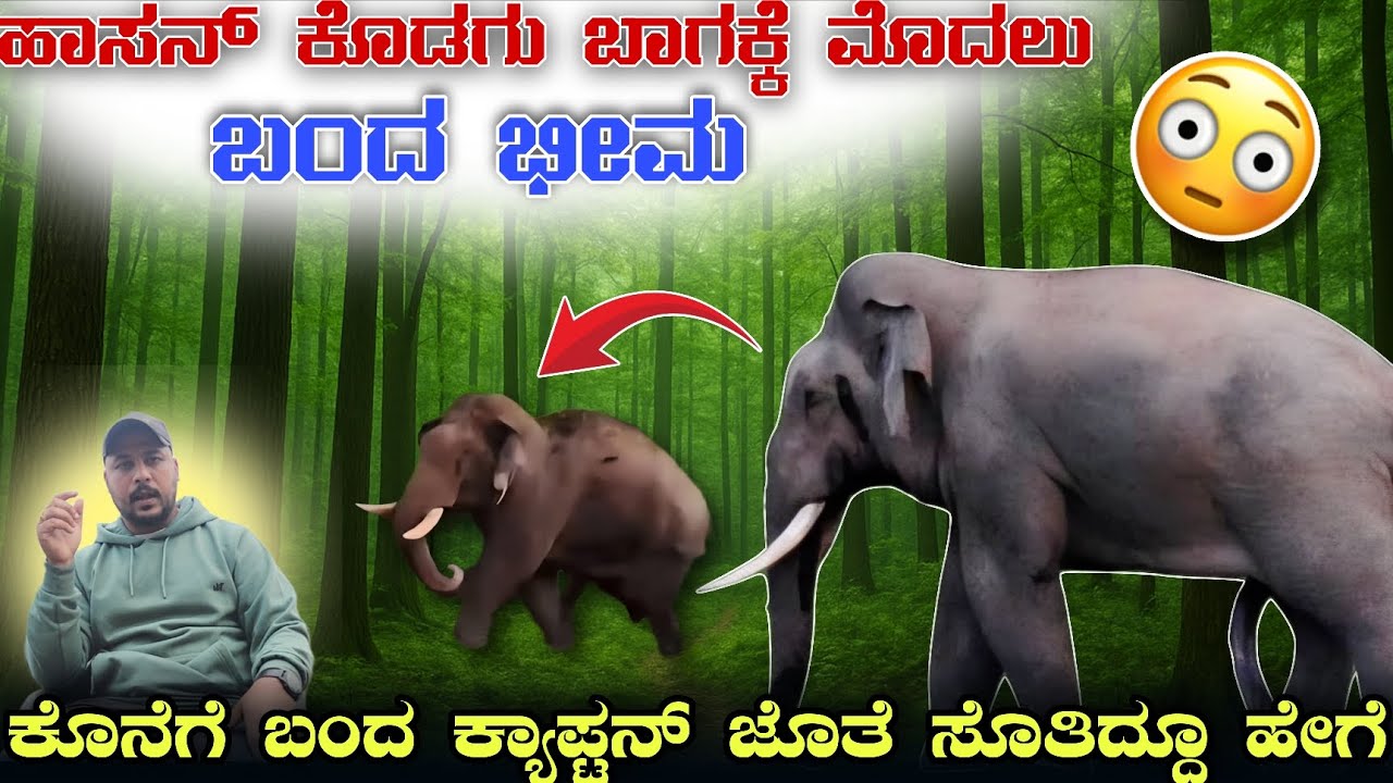 ಹಾಸನ್ ಕೊಡಗು ಬಾಗಕ್ಕೆ ಮೊದಲು ಬಂದ ಭೀಮ ಕೊನೆಗೆ ಬಂದ ಕ್ಯಾಪ್ಟನ್ ಜೊತೆ ಸೊತಿದ್ದೂ ಹೇಗೆ.? Bheema vs captain fight 