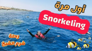 Vlog 15: Safir Sharm Waterfalls Resort Review 💎 رحلتي إلى مدينة شرم الشيخ 😍🌊