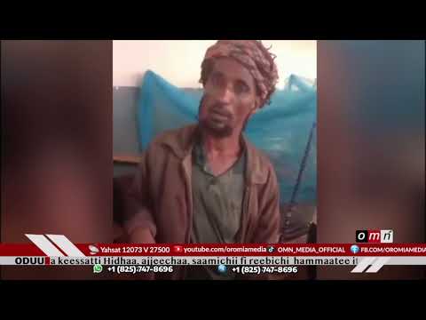 Godina Wallagga Lixaa Aanota Akka Begiifi Qondaalaa Keessatti Dhibeen Busaa Lubbuu Namootaafi Maatii