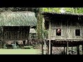 Survival Instinct - Wild Journey , Alone In The Rainforest , Build a house in the wilderness , Ep 26