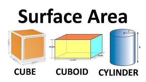 Surface Area of Cube, Cuboid and Cylinder | Class 10 Math | Letstute