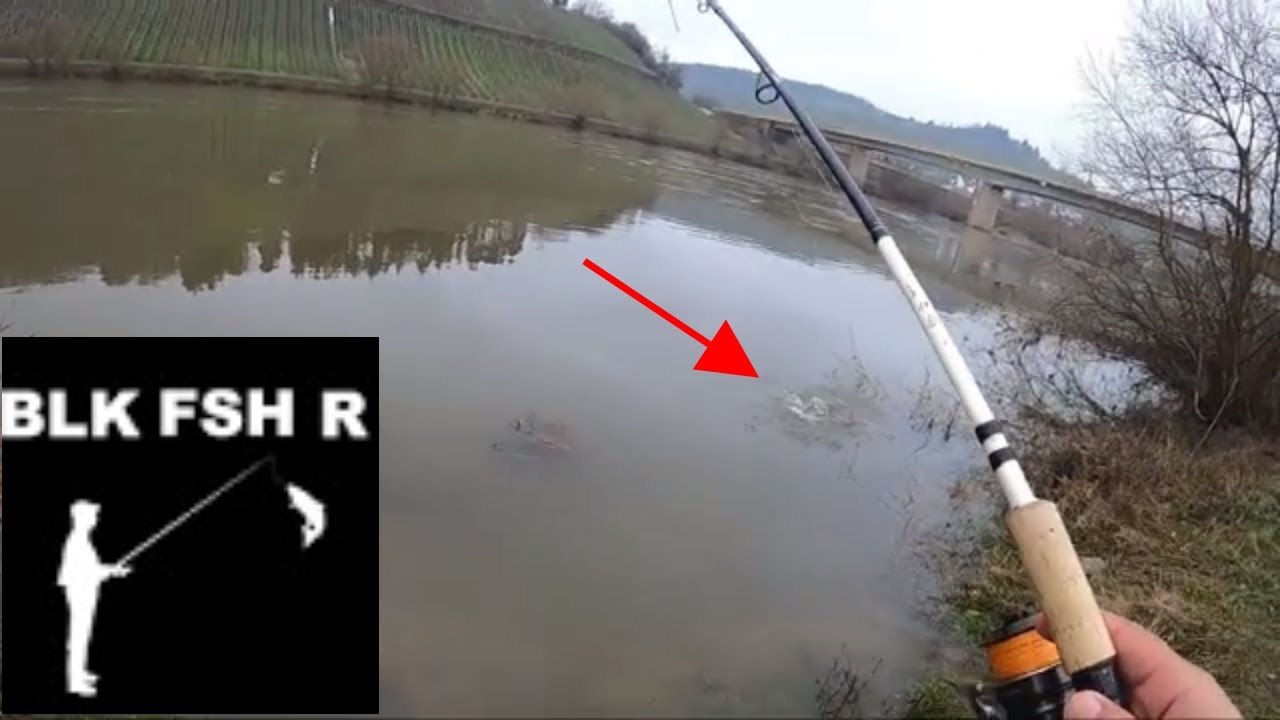 Bank Fishing - Catching the first fish of 2021. Amazing Moselle River Valley in Western Germany.
