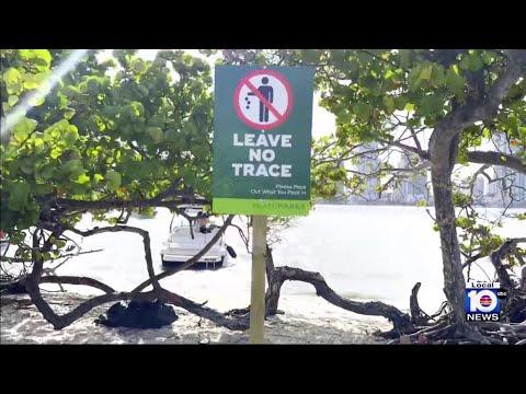 Is Miami’s ‘Leave No Trace’ campaign working? We spot-check cleanliness of Biscayne Bay islands
