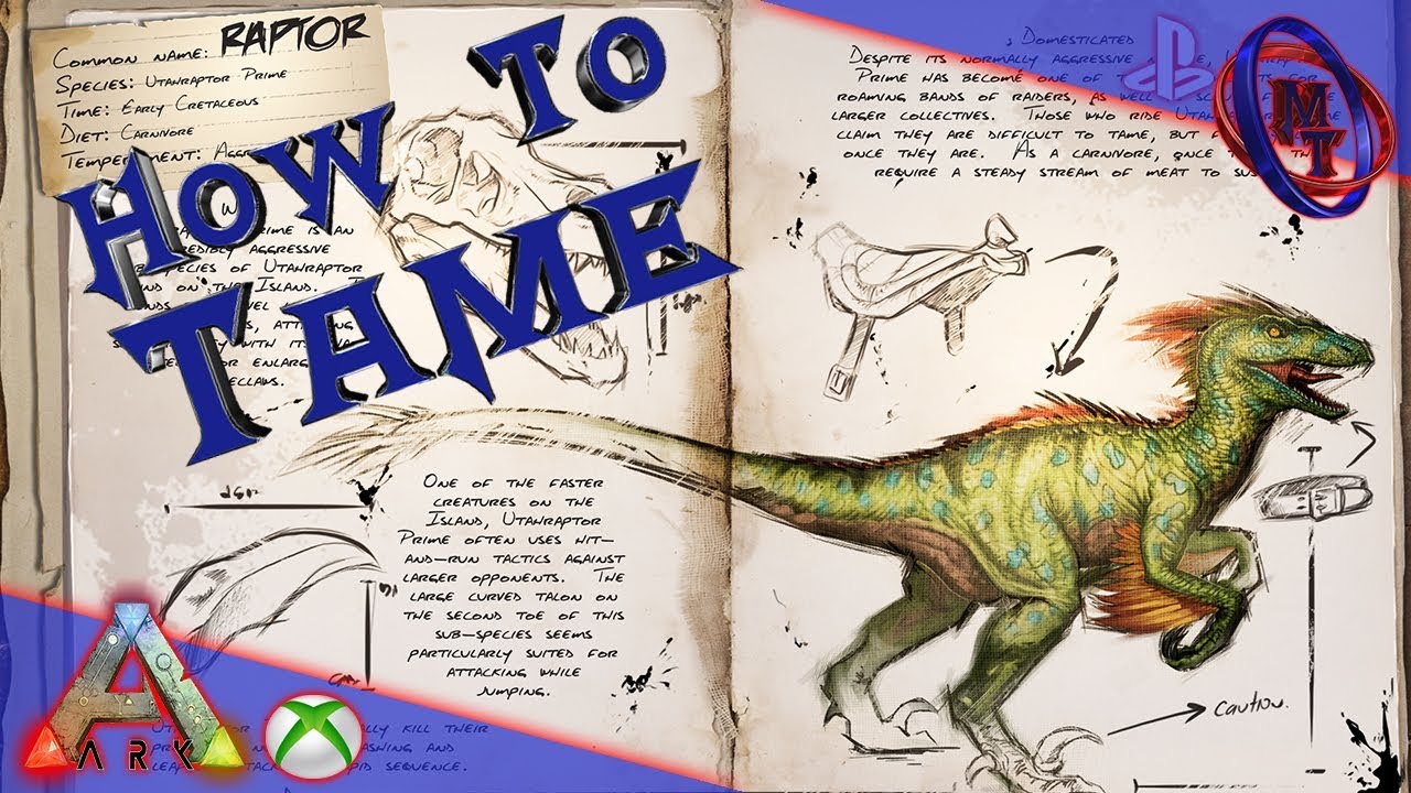 Ark Survival Evolved How To Tame Raptor - YouTube
