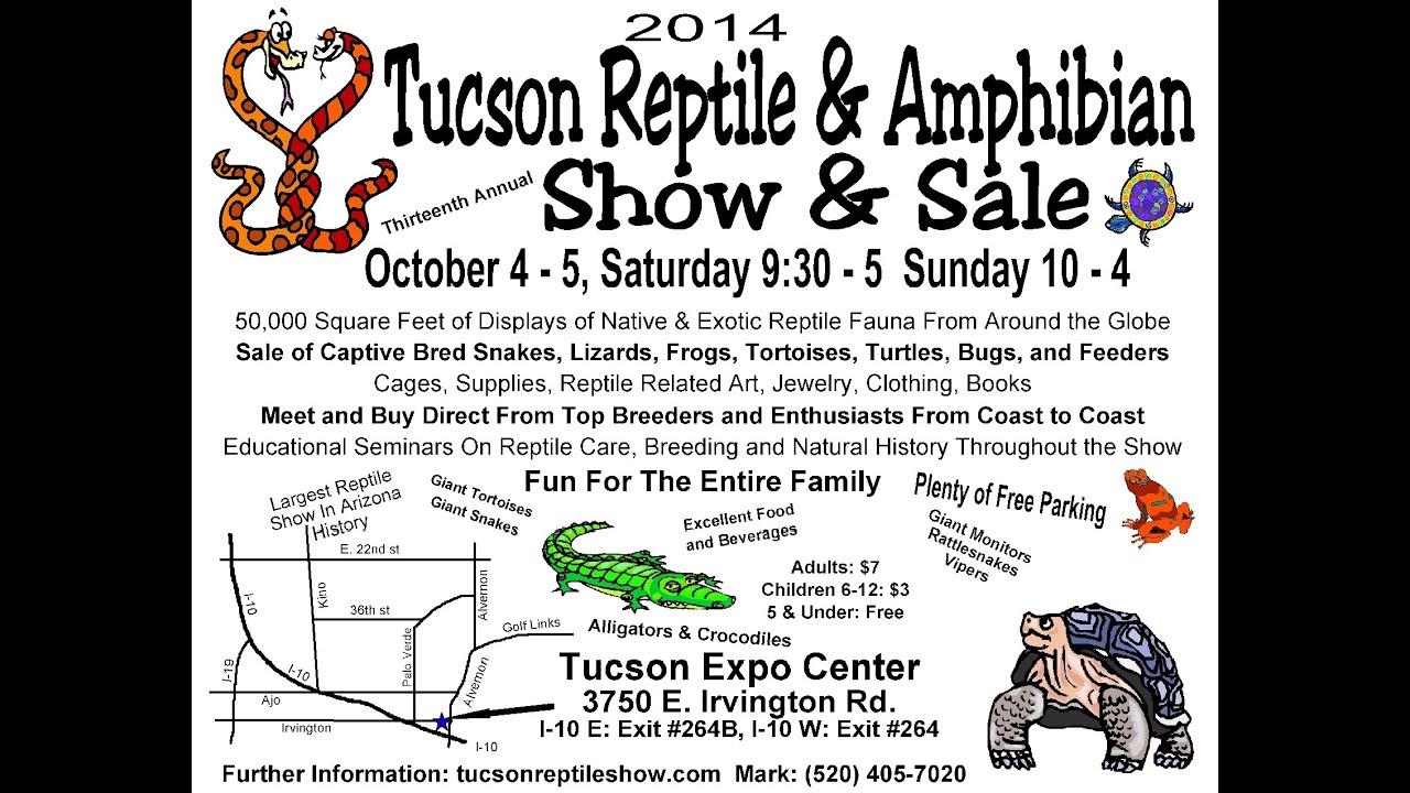 The 2014 Tucson Arizona Reptile and Amphibian Show - YouTube