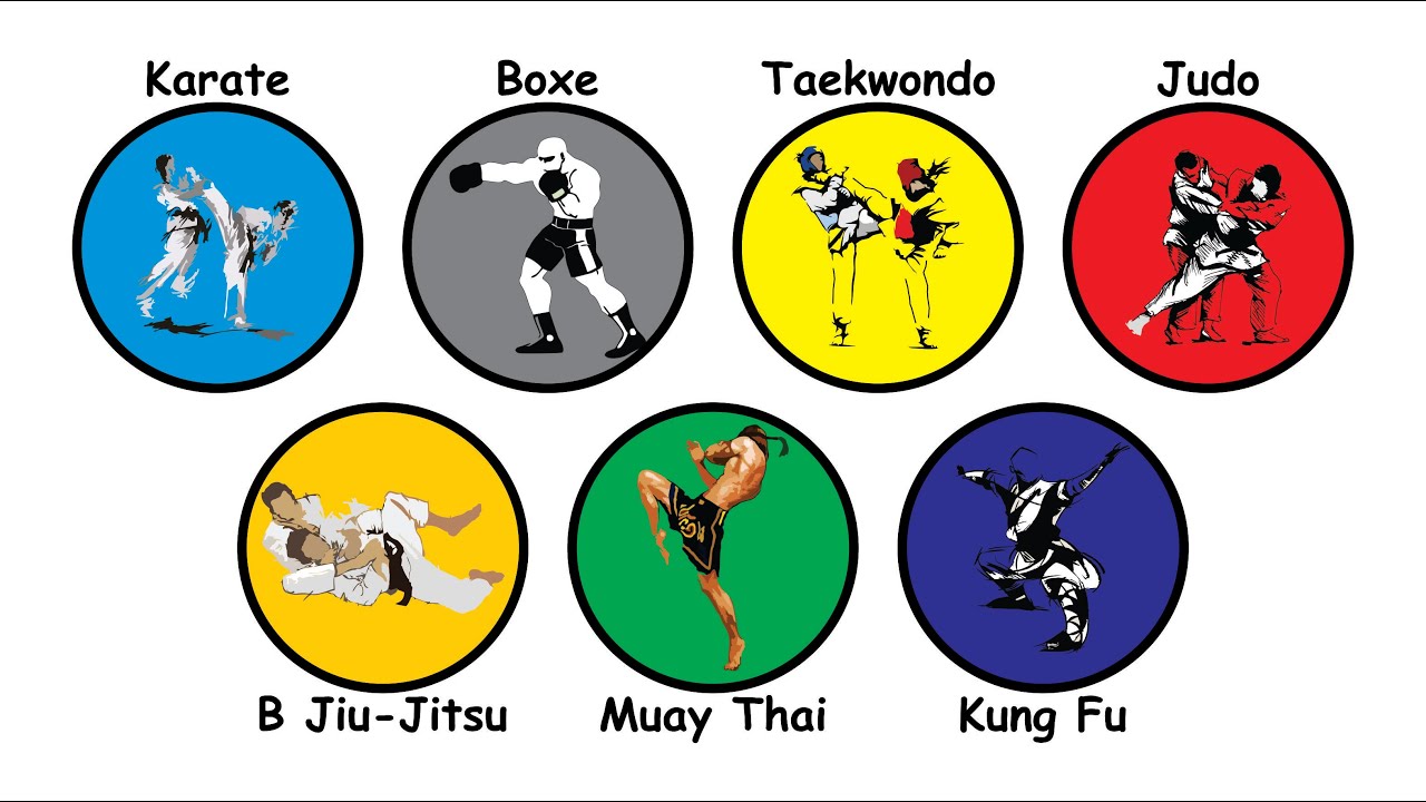 All 7 Martial Arts Explained in 6 Minutes