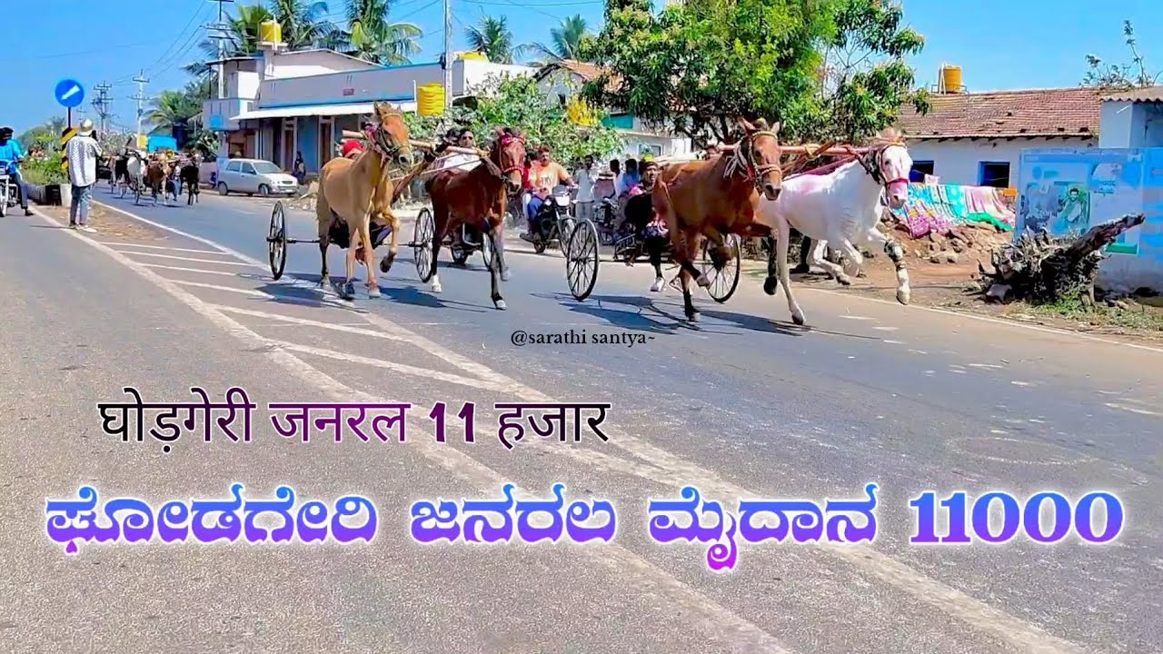 ಘೋಡಗೇರಿ ಜನರಲ ಮೈದಾನ 11000🚩💥#horsepower #horseracing #horseriding #horse 