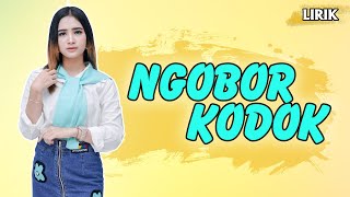 Ngobor Kodok - Lirik || Era Syaqira