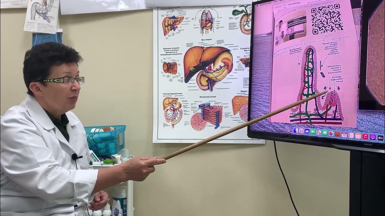 Шишова лечение желудка. Врач метаболист. Шишова лимфатическая гимнастика. Метод шишова. Метод шишова.