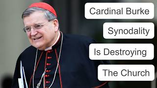 Cardinal Burke's SHOCKING Warning: \