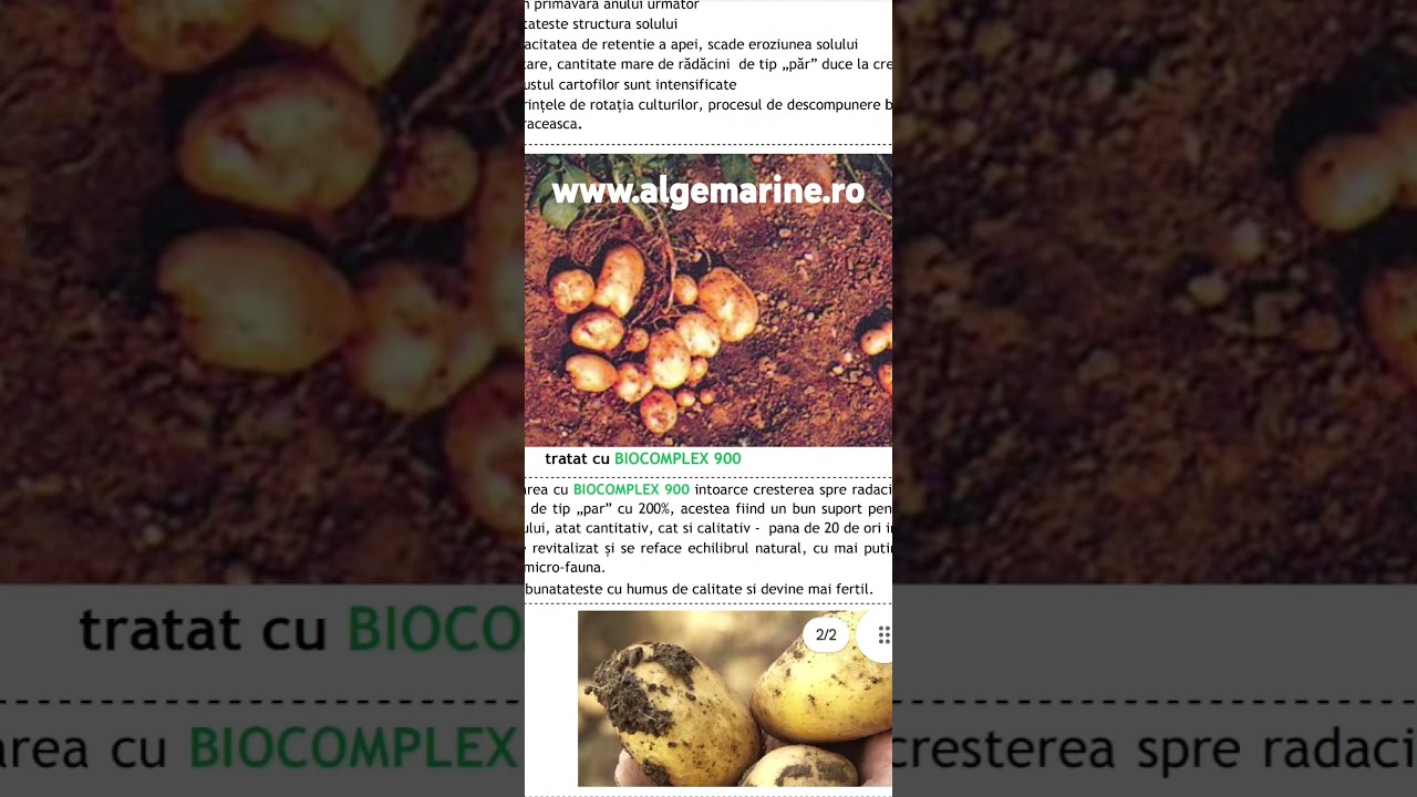 Ingrasamant natural BCX900 pentru cartofi