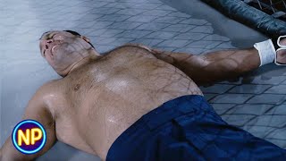 Kevin James Wins an Amateur MMA Fight | Here Comes The Boom (2012)  | Now Playing