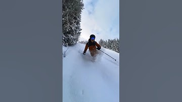 The Insta360 X3 is the most fun camera to capture skiing moments with. #ski #skiing #camera