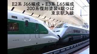 E2系 J66編成 + E3系 L65編成 東京駅入線(警笛あり)