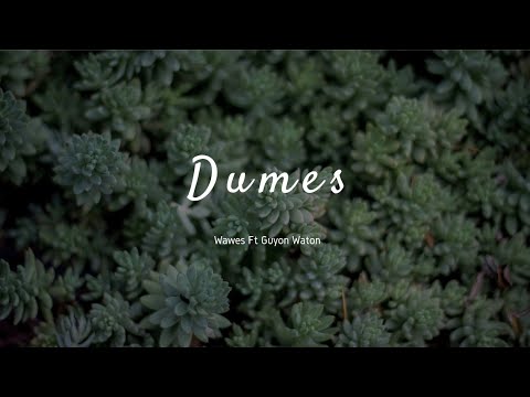 DUMES | Wawes Ft Guyon Waton | Lirik Lagu Koyo Lagi Wingi Awak Dewe Iso Ngobrol Tekan Wengi